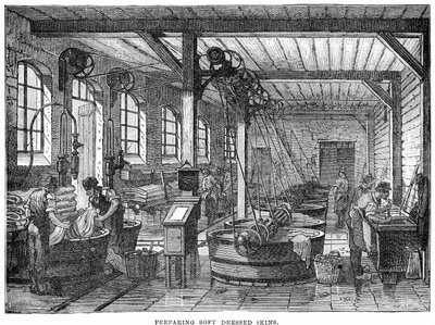 Forbereder mykt kledde skinn av English School